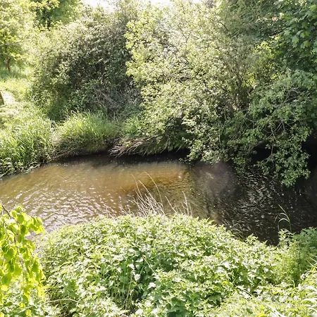 An Maide Ban, Cootehill